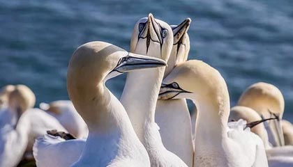 BOB半岛体育：让热爱奔跑在数字海洋里